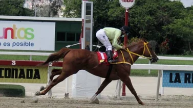 My Titico Mate impone su ley en la Copa día del Trabajador