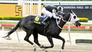 Principe Aaron regresa a la Rinconada tras 567 sin actividad