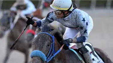 Simplification confirmado para el Preakness Stakes con John Velásquez como su jinete Simplification confirmado para el Preakness Stakes con John Velásquez como su jinete