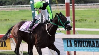 Sandovalera regresa el domingo en el clásico Gustavo Ávila