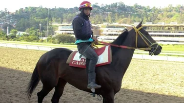 Jonathan Aray con cinco buenas montas para el domingo en La Rinconada