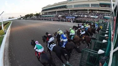 Datos de las carreras americanas Gulfstream Park 12/5/2022