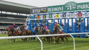 Datos de las carreras americanas Belmont Park 12/5/2022