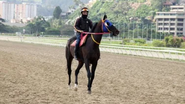 Álvaro Finol jockey clave para el 5y6 en La Rinconada