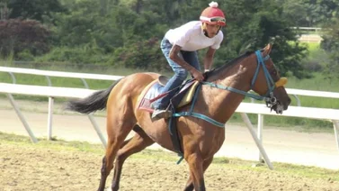 Carlos Brito contento con su triunfo con Príncipe Aaron