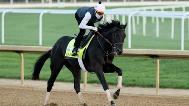 Zandon fuera del Preakness y Belmont Stakes