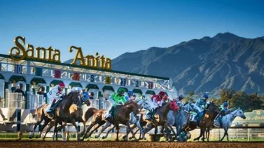 Datos carreras americanas Santa Anita 14/5/2022