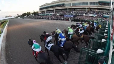 Datos carreras americanas Gulfstream Park 14/5/2022