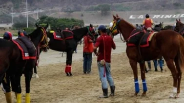 Retirados La Rinconada 15/5/2022