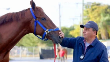 Simplification va por el puesto uno en el Preakness Stakes