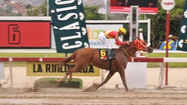 Potras y maduras se medirán en la primera carrera del domingo en La Rinconada