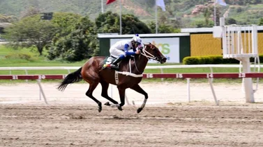 Grand Ma gana en extraordinaria demostración la mejor carrera dominical