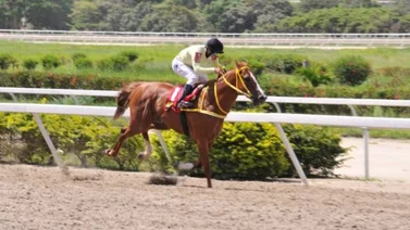 My Titico Mate parte como el favorito en la condicional especial del domingo en La Rinconada