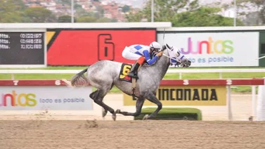 New Rocket vuelve a su lote con hambre de triunfo en La Rinconada