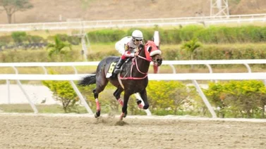 Súper Doc luce como una línea en la tercera válida de La Rinconada