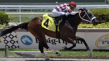 Edgar Pérez continúa con su excelente campaña en Gulfstream Park