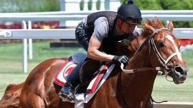Rich Strike echa candela en su ejercicio de hoy 30 de mayo de 2022 en Churchill Downs