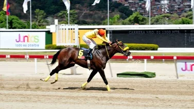 Chiefsttar reaparece en el Clásico José Antonio Páez