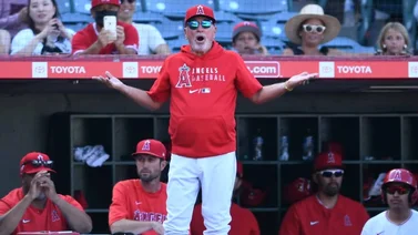 MLB: Joe Maddon habla del por qué Shohei Ohtani es castigado por los Yankees