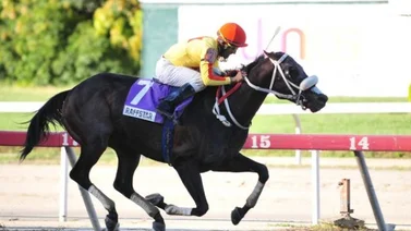 ¿Cuáles son los caballos que han ganado la Triple Corona venezolana?