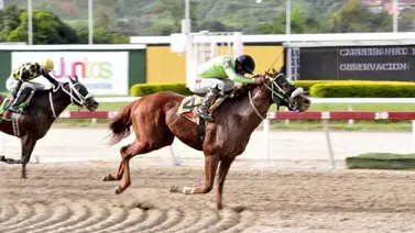 Así marcha la estadística del hipódromo La Rinconada