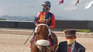 Gran Trueno con preparativos para viajar a otro hipódromo