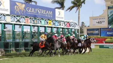 Datos de las carreras americanas (Simulcast Gulfstream Park 24/06/2022)