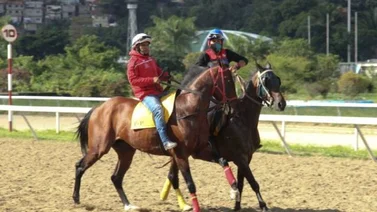 Arquímedes David Pérez está contento con su regreso en La Rinconada