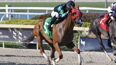 Franklin González Jr. logra primer triunfo de su carrera en Estados Unidos