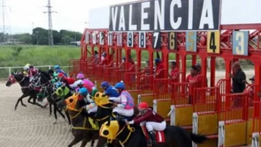 Retirados de la reunión 16 del Hipódromo Nacional de Valencia