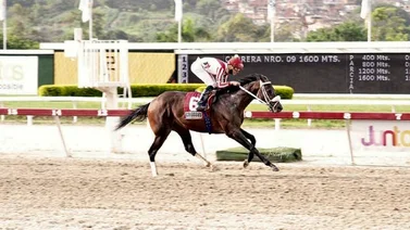 ¿Cuáles son los participantes del segundo paso de la Triple Corona Nacional en La Rinconada?