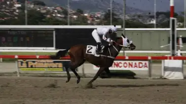 Este jockey buscará acabar con una sequía de más de tres años sin ganar en La Rinconada Este jockey buscará acabar con una sequía de más de tres años sin ganar en La Rinconada