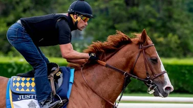 Reguetonero famoso se convierte en propietario de caballos