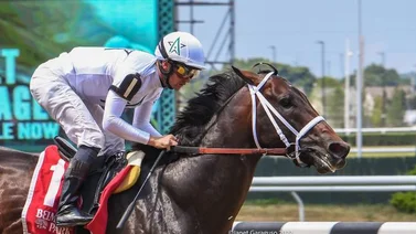 Life Is Good galopa el John Nerud Stakes de Belmont Park