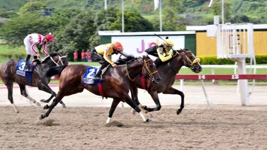 Amelazado gana en final dramático la segunda gema de la Triple Corona de La Rinconada