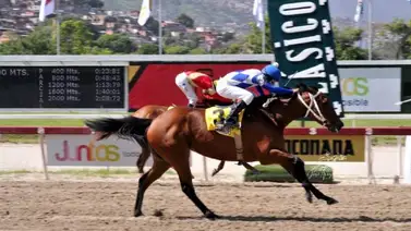 Estos son los ejemplares que comandan la puntuación rumbo al Clásico del Caribe Venezuela 2022 Estos son los ejemplares que comandan la puntuación rumbo al Clásico del Caribe Venezuela 2022