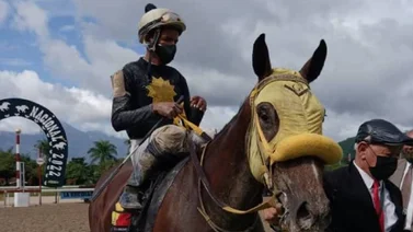 Este jockey tiene posibilidades de ganar en semanas consecutivas, por primera vez en mucho tiempo