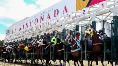 Más de un millón de dólares repartirá la Serie Hípica del Caribe