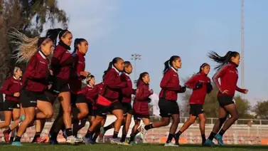 ¿Ha ganado la Vinotinto femenina alguna vez una Copa América? ¿Ha ganado la Vinotinto femenina alguna vez una Copa América?