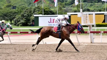 Así marcha la estadística en el hipódromo La Rinconada