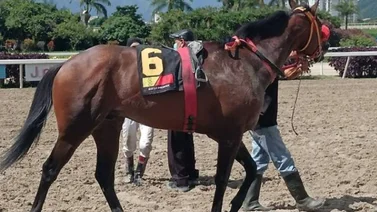 Compadre Chus conquista la cuarta carrera en la Rinconada