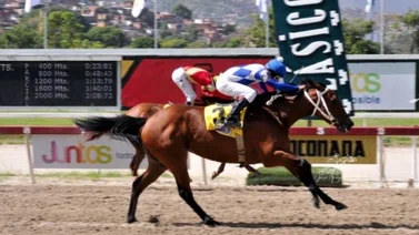 ¿Cuántas yeguas han ganado la Triple Corona en condición de invicta?