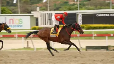Debuta hermana completa de Doble Coronado este domingo en La Rinconada Debuta hermana completa de Doble Coronado este domingo en La Rinconada