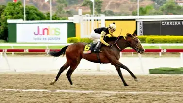 Este potro podría emular la doble corona de Gran Omero en La Rinconada Este potro podría emular la doble corona de Gran Omero en La Rinconada