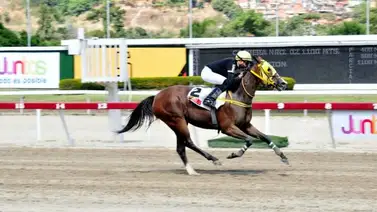 Money On Time con luz verde para conseguir su primer triunfo en La Rinconada Money On Time con luz verde para conseguir su primer triunfo en La Rinconada