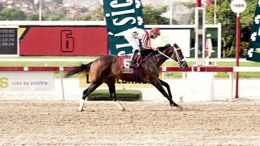 ¿Qué le pasó a Colossus en el Clásico República Bolivariana de Venezuela en La Rinconada?