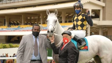 Radamés Santamaría regresa al Stud MM
