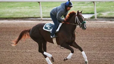 Secret Oath vuelve a la guerra en Saratoga