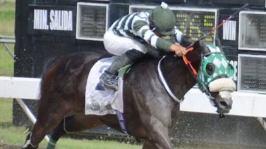 Jockey venezolano en el exterior se prepara con todo para venir a montar en la Serie Hípica del Caribe