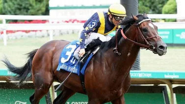 Este ejemplar busca su sexto triunfo consecutivo del año en el Whitney S. de Saratoga
